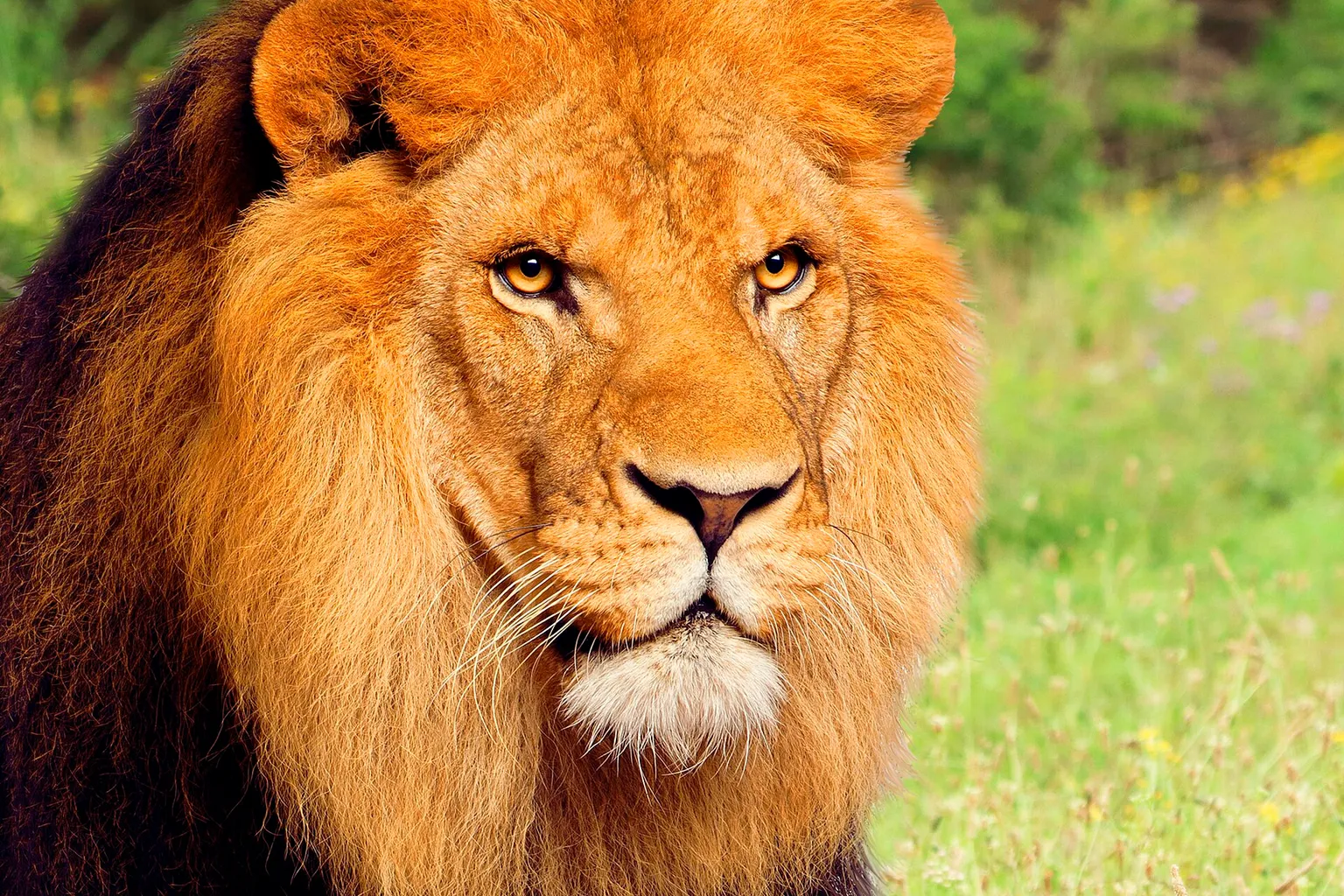 Terra Natura Murcia Tickets: Was die Preise beeinflusst